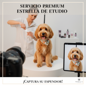 Servicio Premium "Estrella de Estudio"