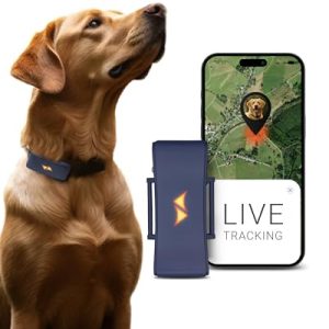 Pack Seguridad GPS "Perro Localizado"